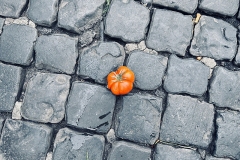 Pomodoro - Campo de, Fiori,  Roma