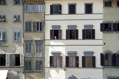 Woman in the Window