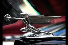 1937 Packard Hood Ornament by Lalique