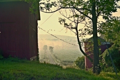 Looking East on apple Tree Lane